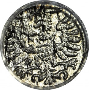 Sigismond III Vasa, Denier 1596, grands chiffres de date, Gdansk, frappé