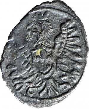 RRR-, Sigismund III Vasa, Denarius Poznan 1603, HEAD of eagle in LEFT