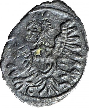 RRR-, Sigismond III Vasa, Denarius Poznan 1603, Tête d'aigle à GAUCHE