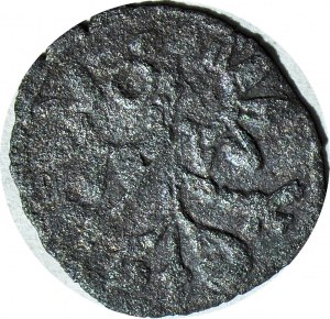 RR-, Sigismondo III Vasa, Denario 1603, Wschowa, T.30mk, R7