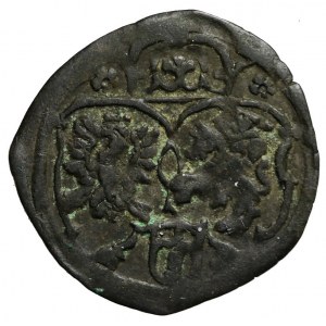 Zygmunt III Waza, Denar 1623, Kraków