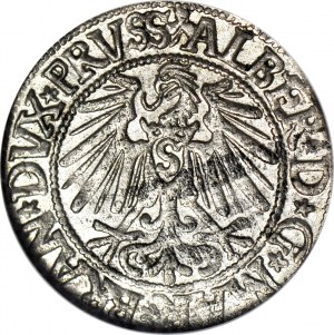 Lenne Prusy Książęce, Albrecht Hohenzollern, Grosz 1545, Królewiec, menniczy
