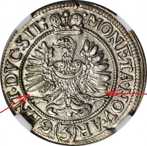 RRR-, Slesia, Ludwika Anhalcka, 3 krajcars 1673, Brzeg, No C-B, b. raro, R6+