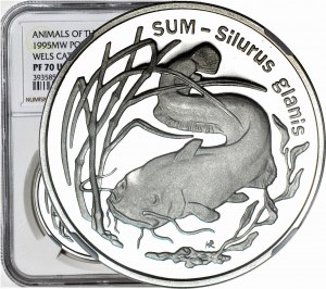 20 Zlatý sumec 1995 - NGC PF70 ULTRA CAMEO