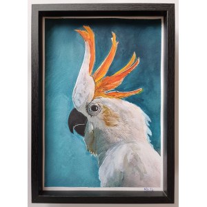 Czeslaw Nawrat, Parrot, 2024