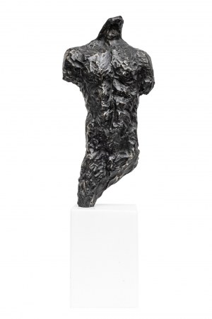 Waldemar Mazurek, Torso, 2022