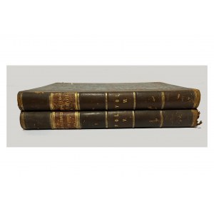 ILLUSTRATED TRAVELS, 2 volumes, 19th century