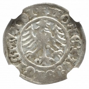 Zygmunt I Stary, Półgrosz 1510, Kraków - NGC MS62