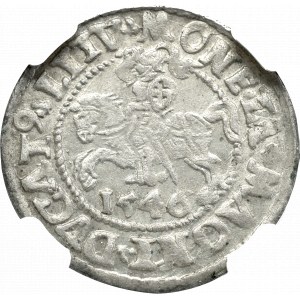 Zygmunt II August, Półgrosz 1546, Wilno - NGC MS64 