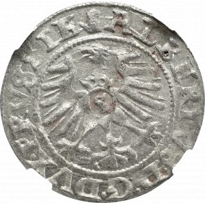 Preußen, Albert Hohenzollern, Muschel 1559, Königsberg - NGC MS63