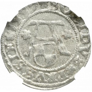 Prussia, Albert Hohenzollern, Shelag 1559, Königsberg - NGC MS63