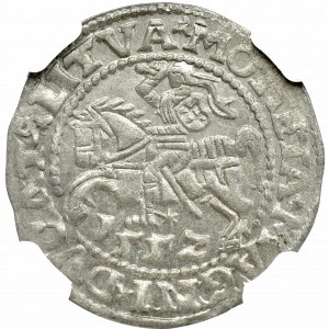Zygmunt II August , Półgrosz 1552, Wilno - NGC MS64 