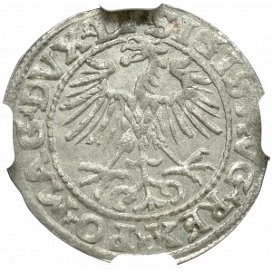 Zygmunt II August , Półgrosz 1552, Wilno - NGC MS64 