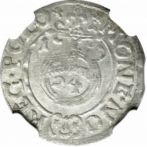 Zygmunt III Waza, Półtorak 1619, Bydgoszcz - NGC MS64 