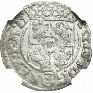 Zygmunt III Waza, Półtorak 1619, Bydgoszcz - NGC MS64 