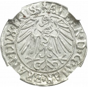 Prusy, Albert Hohenzollern , Grosz 1546, Królewiec - NGC MS62