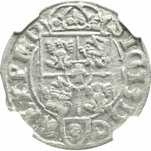 Zygmunt III Waza, Półtorak 1617, Bydgoszcz - NGC MS64 