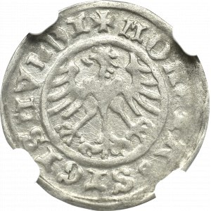 Zygmunt I Stary, Półgrosz 1509, Kraków - NGC MS62