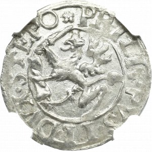 Pomorze, Filip II , Grosz 1615, Szczecin - NGC MS64 