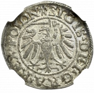 Zygmunt I Stary, Szeląg 1538, Gdańsk - NGC AU58 