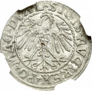 Zygmunt II August , Półgrosz 1546, Wilno - NGC AU58 