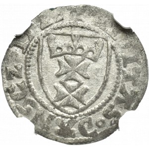 Zygmunt I Stary, Szeląg 1525, Gdańsk - NGC AU55 