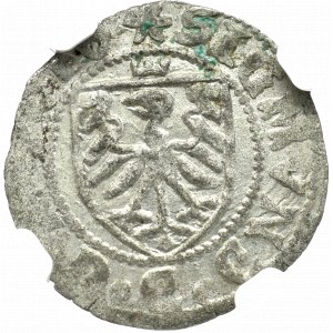 Zygmunt I Stary, Szeląg 1525, Gdańsk - NGC AU55 