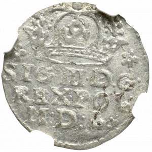 Zygmunt III Waza, Grosz 1623, Kraków - NGC MS63