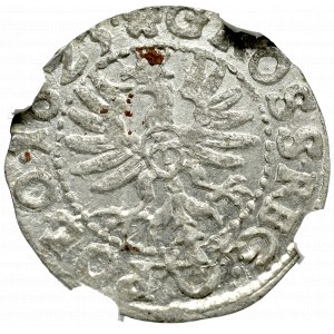Zygmunt III Waza, Grosz 1623, Kraków - NGC MS63