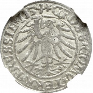Zygmunt I Stary, Grosz 1534, Toruń - NGC AU55