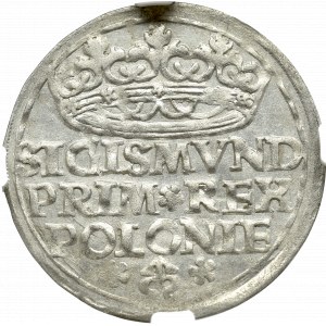 Zygmunt I Stary, Grosz 1527, Kraków - NGC MS62 