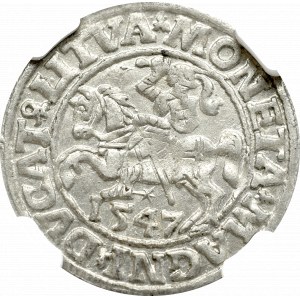 Zygmunt II August , Półgrosz 1547, Wilno - NGC MS61