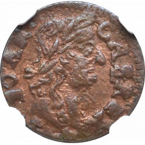 Jan II Kazimierz, Szeląg litewski 1660 TLB, Ujazdów - NGC MS63 RB