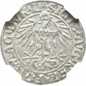 Zygmunt II August , Półgrosz 1548, Wilno - NGC MS61 