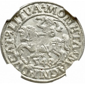 Zygmunt II August , Półgrosz 1548, Wilno - NGC MS64 