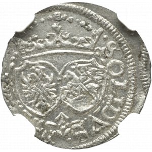 Zygmunt III Waza, Szeląg 1617, Wilno - NGC MS62 