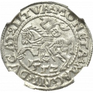 Zygmunt II August, Półgrosz 1552, Wilno - NGC MS63 