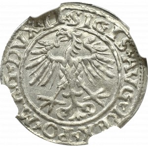 Zygmunt II August, Półgrosz 1552, Wilno - NGC MS63 