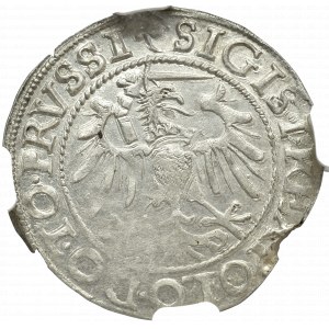 Zygmunt I Stary, Grosz 1540, Elbląg - PRVSSI NGC MS61 