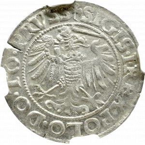 Zygmunt I Stary, Grosz 1540, Elbląg - PRVSS NGC MS63 