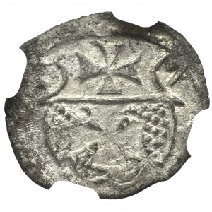 Zygmunt II August, Denar 1557, Elbląg - NGC MS60 