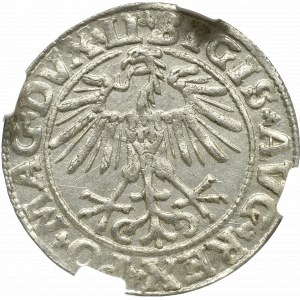 Zygmunt II August, Półgrosz 1550, Wilno - NGC MS62
