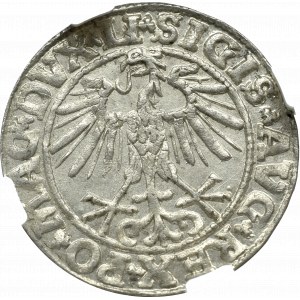 Zygmunt II August, Półgrosz 1550, Wilno - NGC MS65 