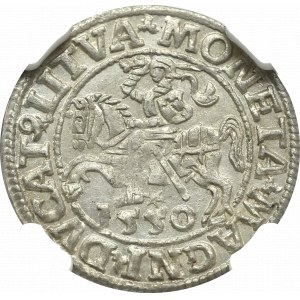 Zygmunt II August, Półgrosz 1550, Wilno - NGC MS64