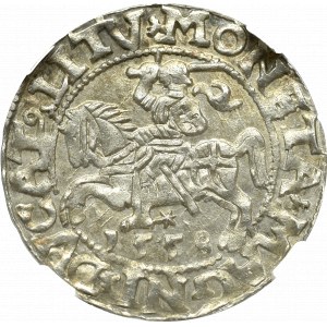 Zygmunt II August, Półgrosz 1558, Wilno - NGC MS63 