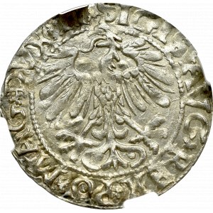 Zygmunt II August, Półgrosz 1558, Wilno - NGC MS63 