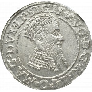 Zygmunt II August, Czworak 1569, Wilno - NGC MS61 