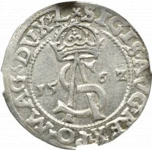 Zygmunt II August, Trojak 1562, Wilno - NGC MS61 