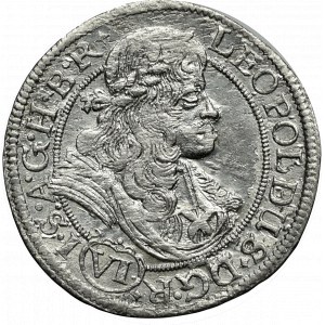 Śląsk, Leopold I, 6 krajcarów 1683 SHS, Wrocław