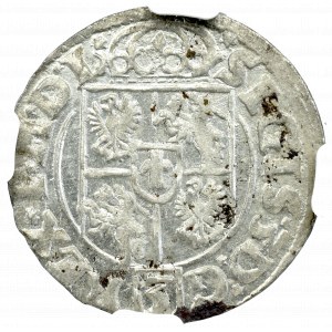 Zygmunt III Waza, Półtorak 1619, Bydgoszcz - NGC MS64 